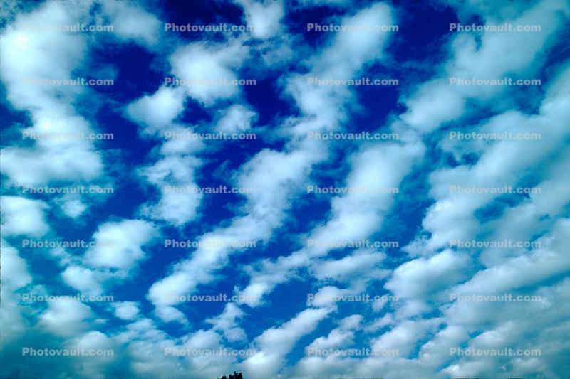 Altocumulus Clouds, daytime, daylight, orderly, in line, in-line, marching, organized