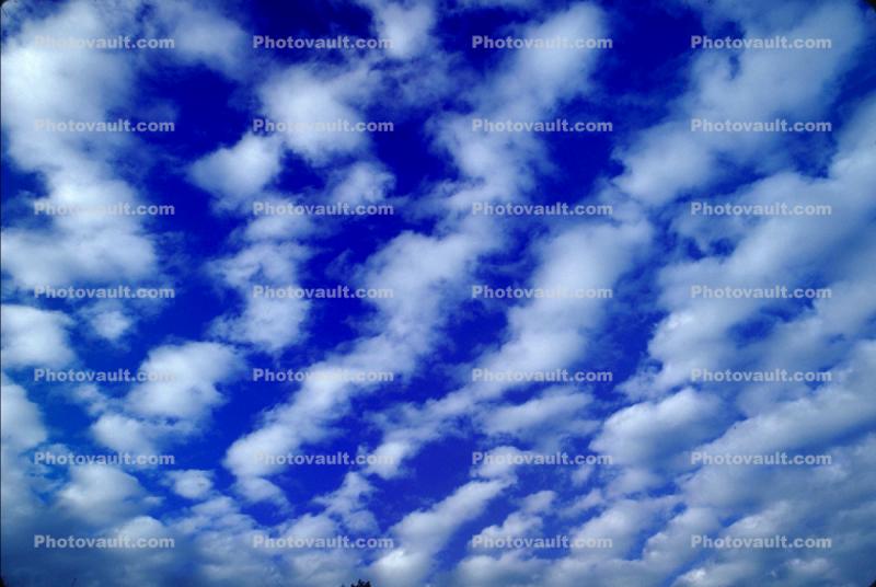 Altocumulus Clouds, daytime, daylight, orderly, in line, in-line, marching, organized