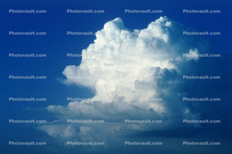 cauliflower, cumulus, cumulonimbus