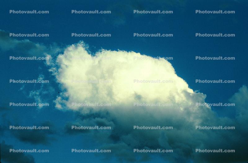 Cumulus Cloud, daytime, daylight