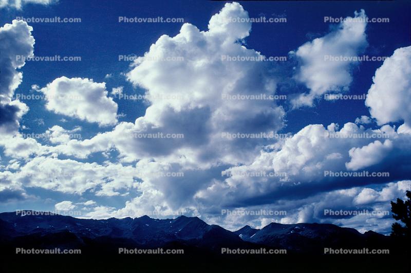 cumulus clouds with an up thrust trying to become Nimbus, Cloud Puffs, Cumulus nimbus, Cumulonimbus