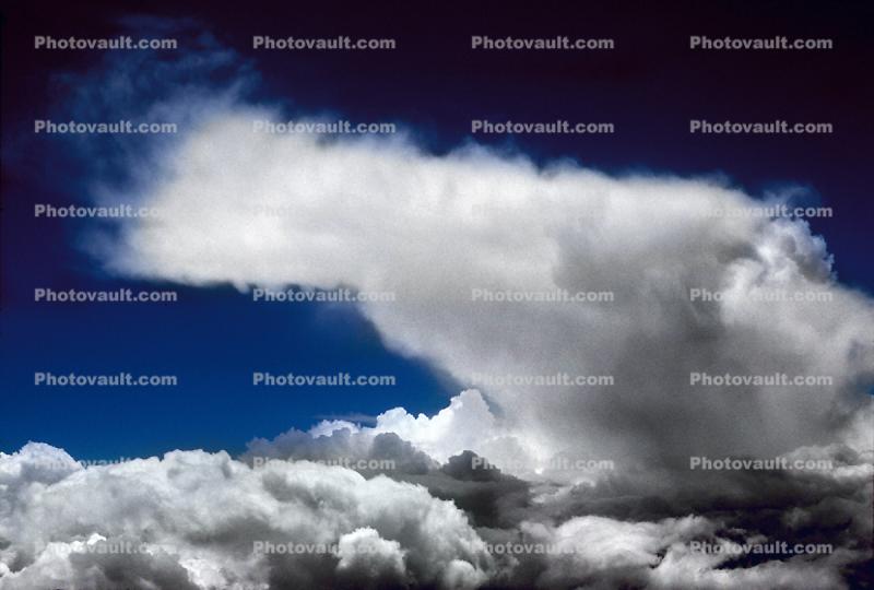 Anvil, Thunderhead, Cumulonimbus, daytime, daylight, Cumulus Cloud Puffs, Cumulus nimbus