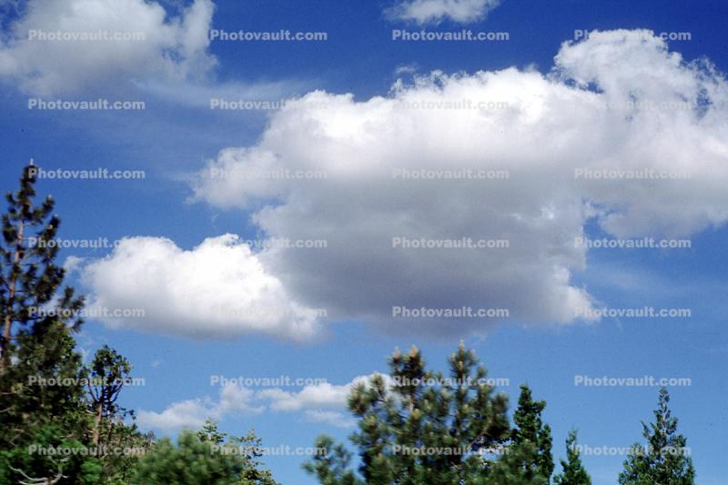 daytime, daylight, Cumulus Cloud puff