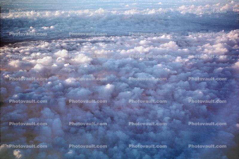 daytime, daylight, cumulus puff clouds making a velvet carpet