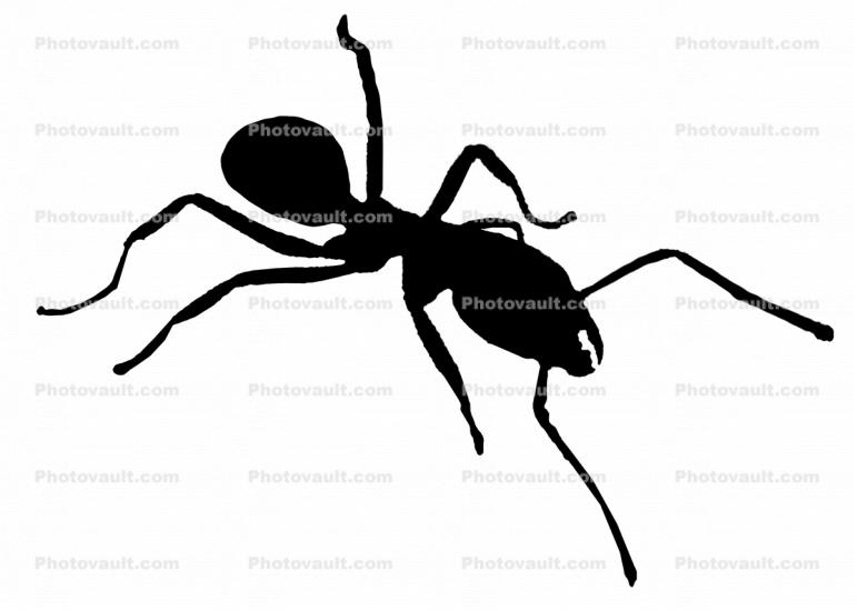 Ant silhouette, shape