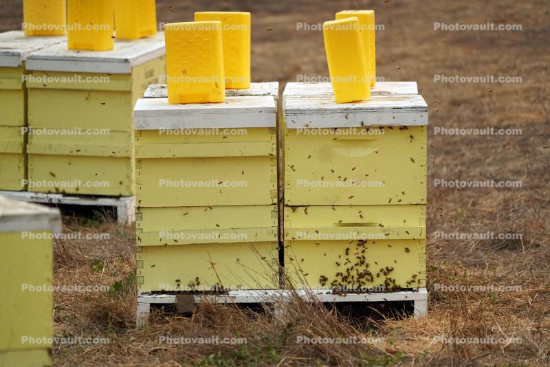 Bee Keeper Hives