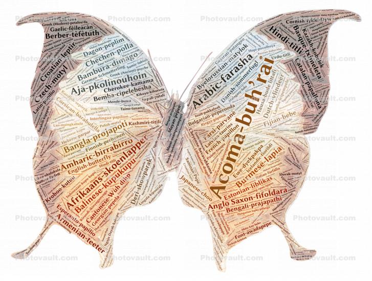 Butterfly in Many Languages, Word Mosaic, Graphic, translations, Wings, Abstract