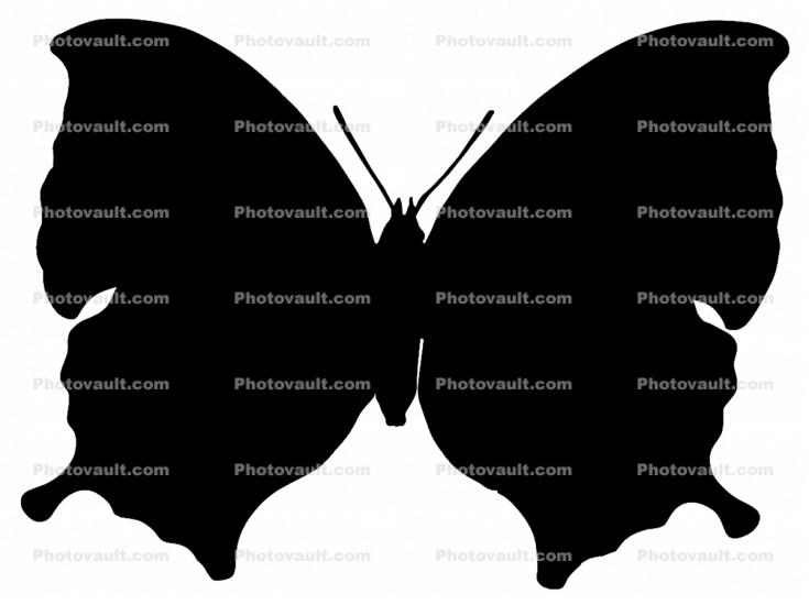 Wings, Butterfly Wings Silhouette, shape