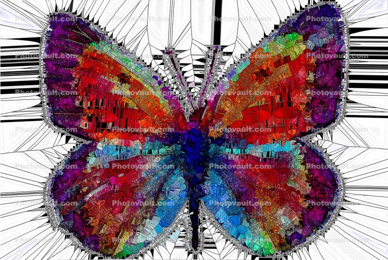 Crystalized Colors of a Butterfly with Spiky Protrusions