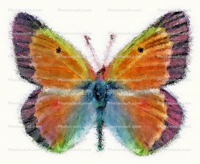 Splatter Painted Butterfly, Paintography