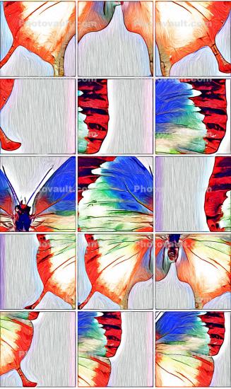 A Puzzle Grid of a Butterfly, abstract