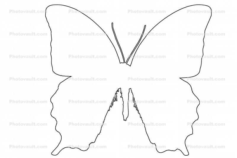 Girl Butterfly Wings Stock Vector by ©nutriaaa 176064114