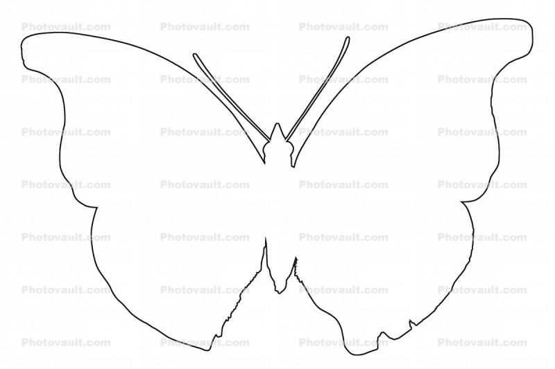 Girl with Butterfly Wings Drawing || Pencil sketch art