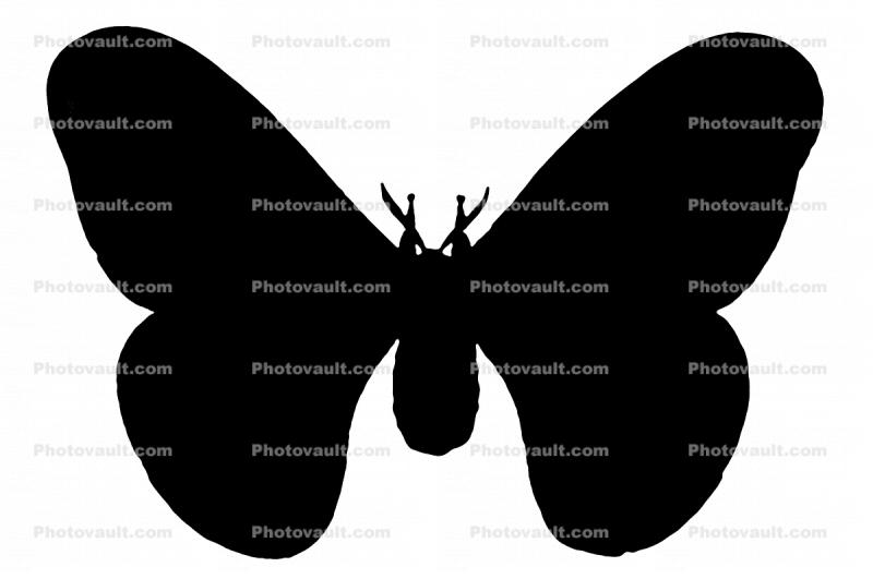 Moth silhouette, shape