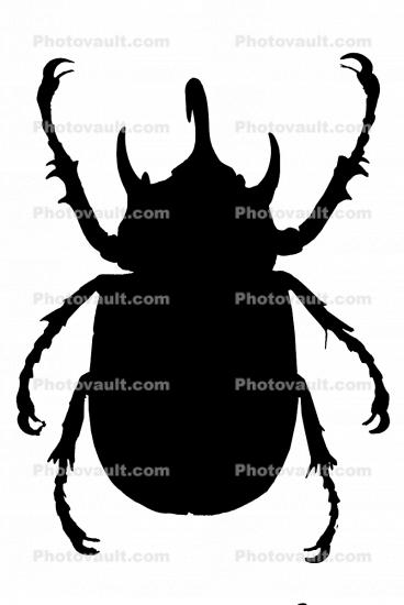 Rhinoceros Beetle silhouette, Shape, logo, (Eupatorus gracilicornis), Scarabaeidae, Dynastinae