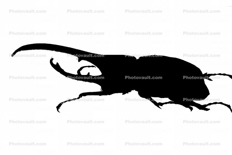 Hercules Beetle Silhouette, (Dynastes hercules), Scarabaeidae, Dynastinae, horns, logo, shape