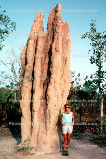 Termite Hill, Mound, Australia