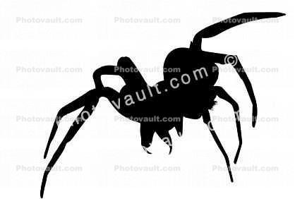 Wolf Spider Silhouette, Lycosidae, logo, shape