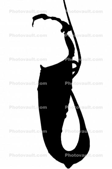 (Nepenthes khasiana) logo, Pitcher Plant silhouette, Nepenthaceae, shape