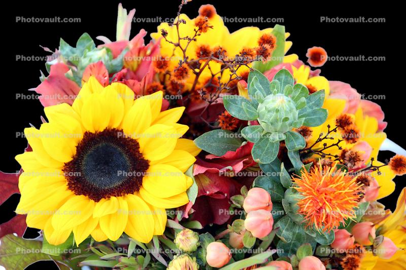 Flower Arrangement, sunflower