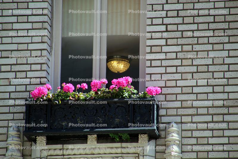 Flowers in a window sill, brick