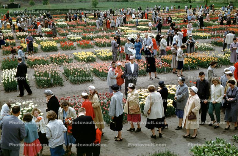 Flower Show, 1951, Women, ladies, coats, hats