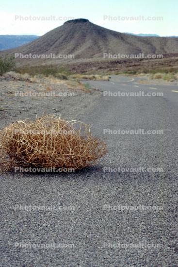 Tumbleweed, Desert Road