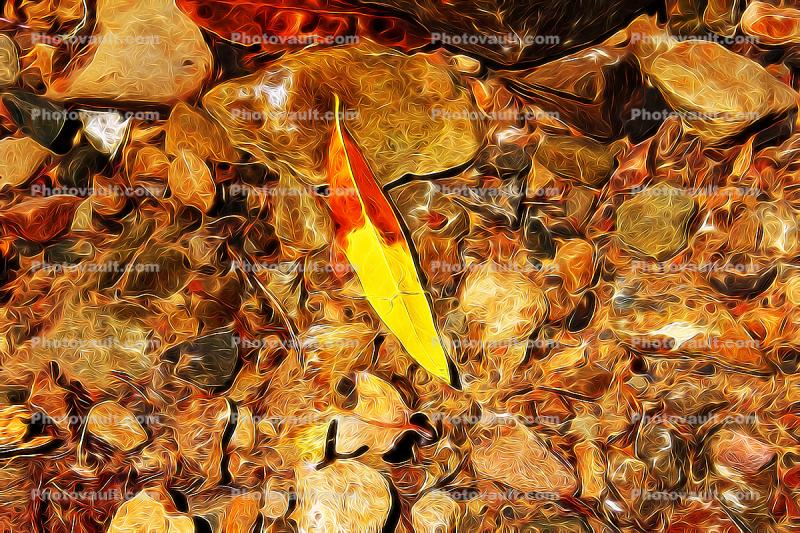 Leaf in a Stream Abstract