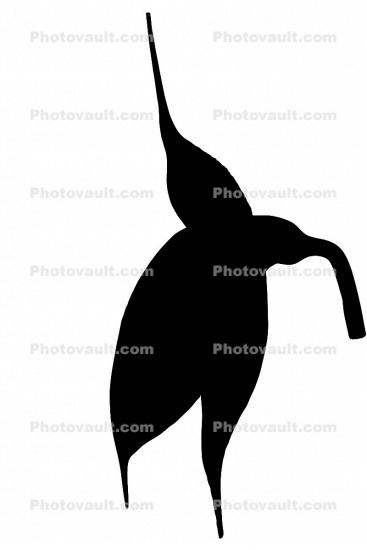 silhouette, Orchid logo, shape