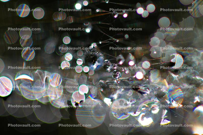 Spectral Glee, in the morning Dew, Pearly drops, waterlens, Watershapes