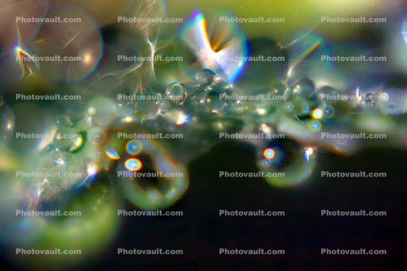 twist bend and turn of spectral Water Drops on a Leaf, in the morning Dew, Close-up, Watershapes