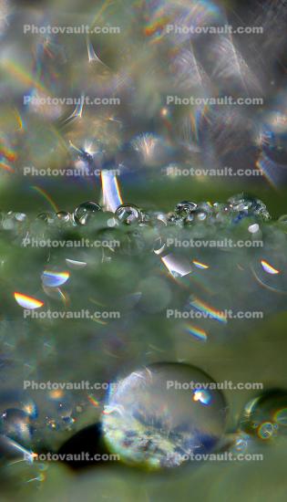 crystalline water drop landscape, waterlens, Watershapes