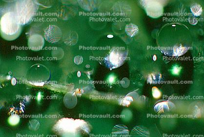 Water Drop, Nasturtium, Waterlens, Watershapes