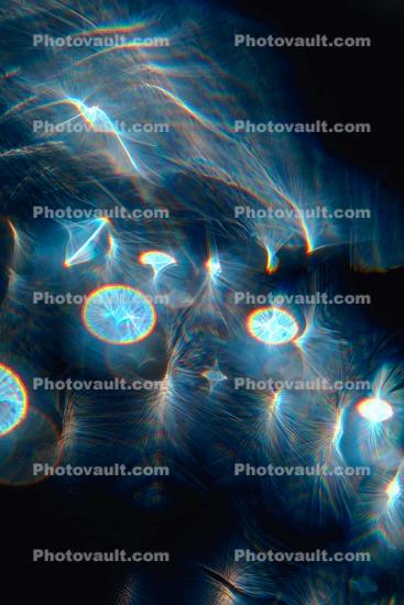Synapse, Neurons, SPIRIT Light Beings