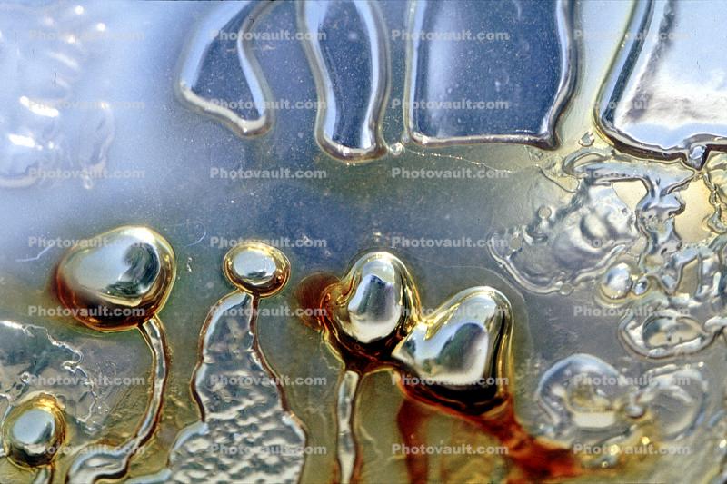 The shape of bubbles under glass in water, Watershapes