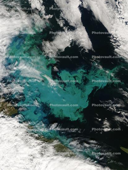 Phytoplankton Bloom in the Barents Sea, August 12, 2008