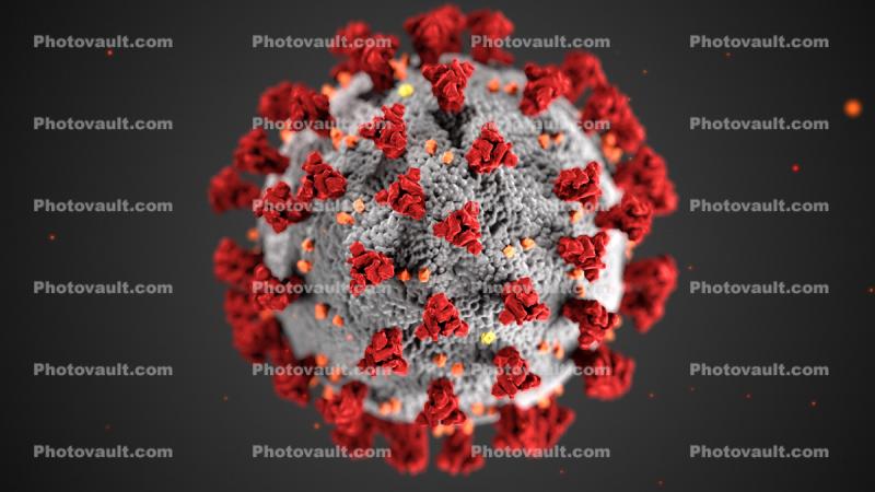 COVID-19, Virion, novel coronavirus, disease, Virus