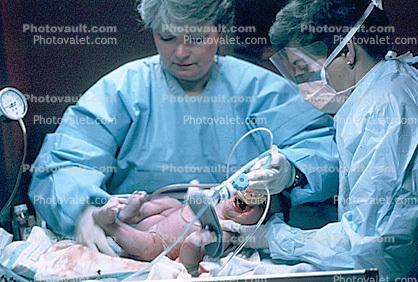 New Born Baby, Newborn, Babies, Infant, Childbirth, girl, female