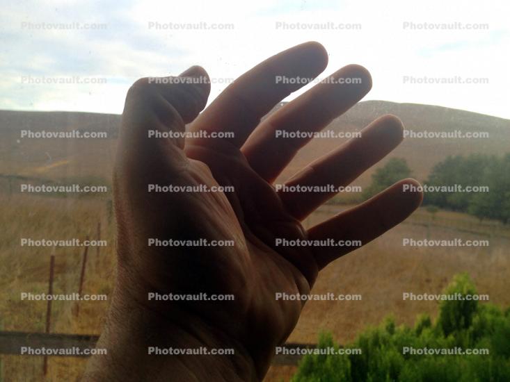 Thumb, Fingers, Hand, Male