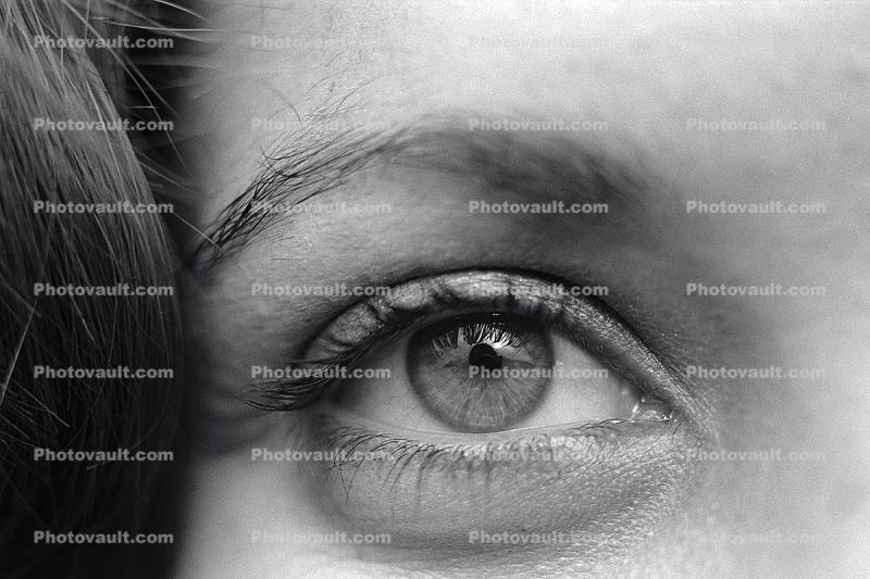 female, woman, women, girl, lady, feminine, lash, Eyeball, Iris, Lens, Pupil, Eyelash, Cornea, Sclera, skin