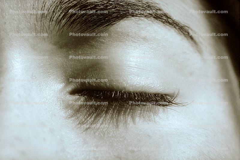 Closed Eye, Eyelash, Female, Woman, Eye Brow, Eyebrow, skin