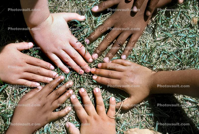Arms and Hands in a Circle, mixed race, multi-ethnic, diversity, girl, lady, feminine, female, male, boy, guy