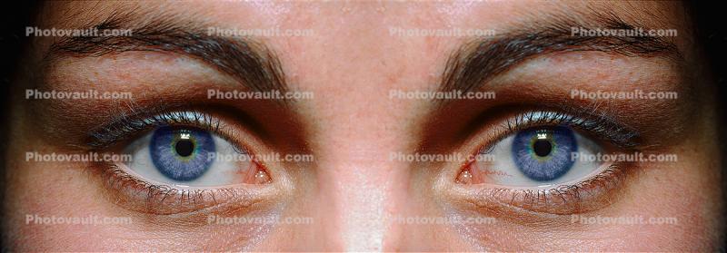Face, Eyeball, Iris, Lens, Pupil, Eyelash, Cornea, Sclera, Female, Woman, Eye Brow, Eyebrow, Panorama