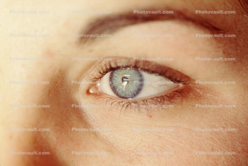 Eyes, Eyelash, skin, Eyeball, Iris, Lens, Pupil, Cornea, Sclera, Eyebrow, Female, Woman, girl