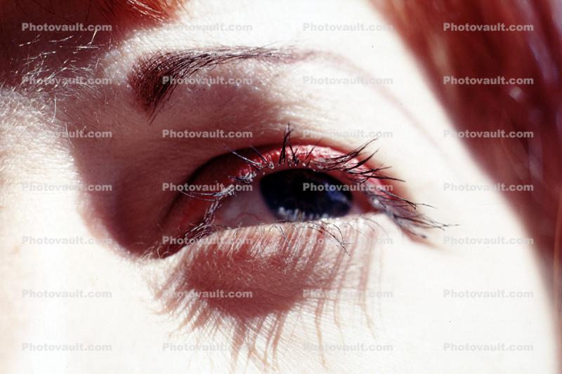 Eyeball, Eyelash, skin, female, woman, eyebrow