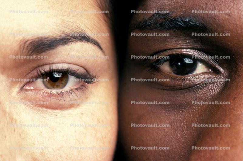 Eyeball, Iris, Lens, Pupil, Eyelash, Cornea, Sclera, skin, man, male, female, woman, eyebrow