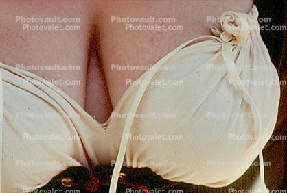 Breasts in a Bra Costume, Renaissance Fair