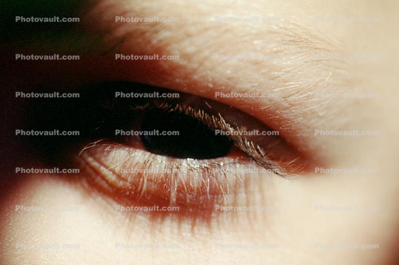 Eyeball, Eyelash, skin, Woman, Female