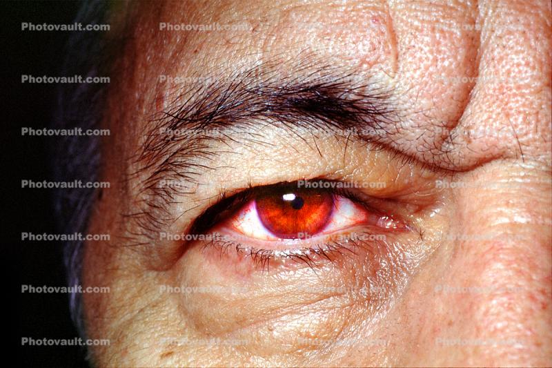 Spooky, Eye, Eyeball, Iris, Lens, Pupil, Eyelash, Cornea, Sclera, Man, Male, skin, Eye Brow, Eyebrow