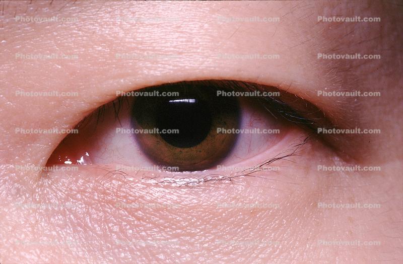Eyeball, Iris, Lens, Pupil, Eyelash, Cornea, Sclera, Man, Male, skin, Eye Brow, Eyebrow, asian